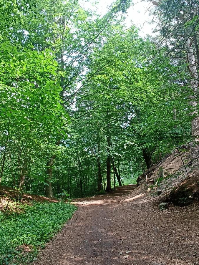 Ferienwohnung Heide 1 Walsrode Exteriör bild